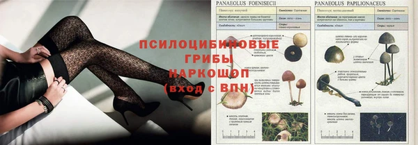тгк Армянск