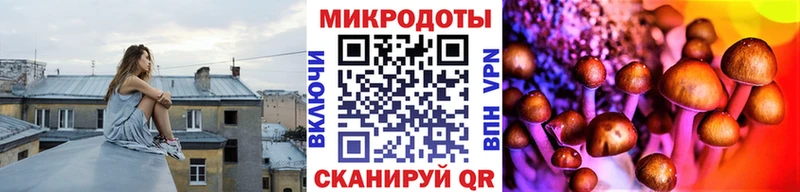 Галлюциногенные грибы прущие грибы сколько стоит Заозёрный